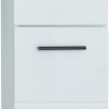 trendteam smart living - Skin - Standschrank - Weiß/Weiß Hochglanz - Badschrank mit 1 Schublade und 2 Fächern - (BxHxT) 30 x 79 x 31 cm - vielseitig einsetzbar - Kratzfest